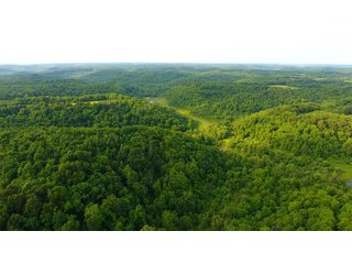 Property photo 99 - LAND AUCTION - 1,050+/- ACRES OFFERED IN 21 TRACTS PLUS 450+/- ACRE HUNTING LEASE IN MUSKINGUM COUNTY, OHIO